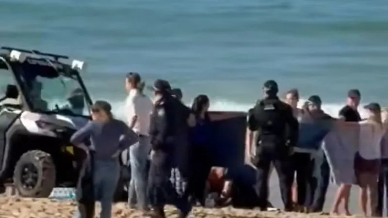Bloody Horror at Coogee Beach Woman, 35, Fights for Life After Shark Attack - Second Image
