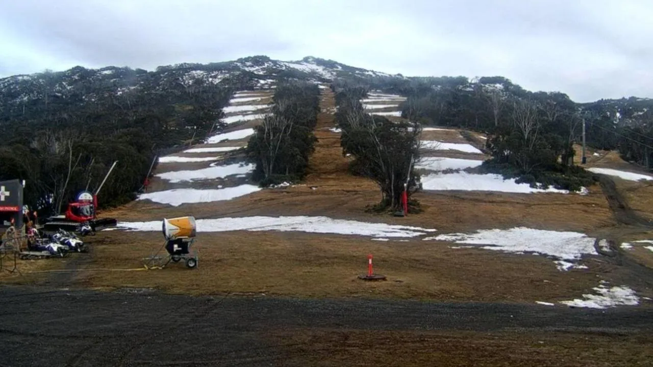 Snow Drought Brings NSW Ski Resorts to Brink of Disaster - Second Image