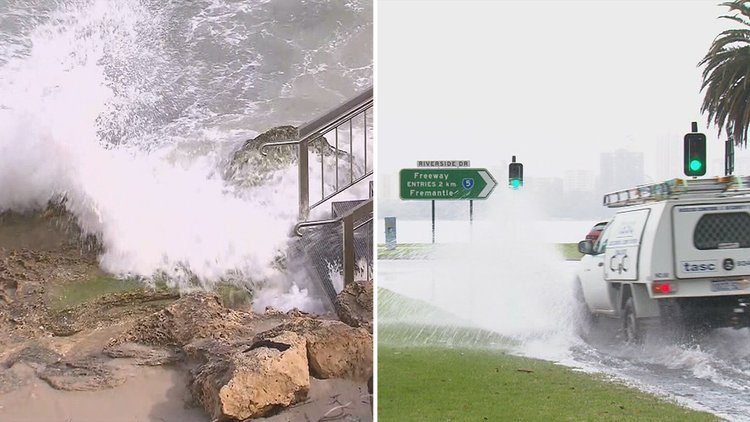 Tree Plummets onto Speeding Car on Bussell Highway - Second Image