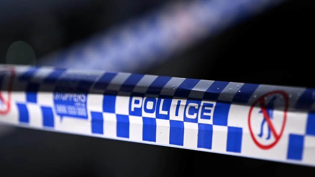 Teen Thugs in Balaclavas Brutally Stab Homeless Man in Bendigo - Second Image