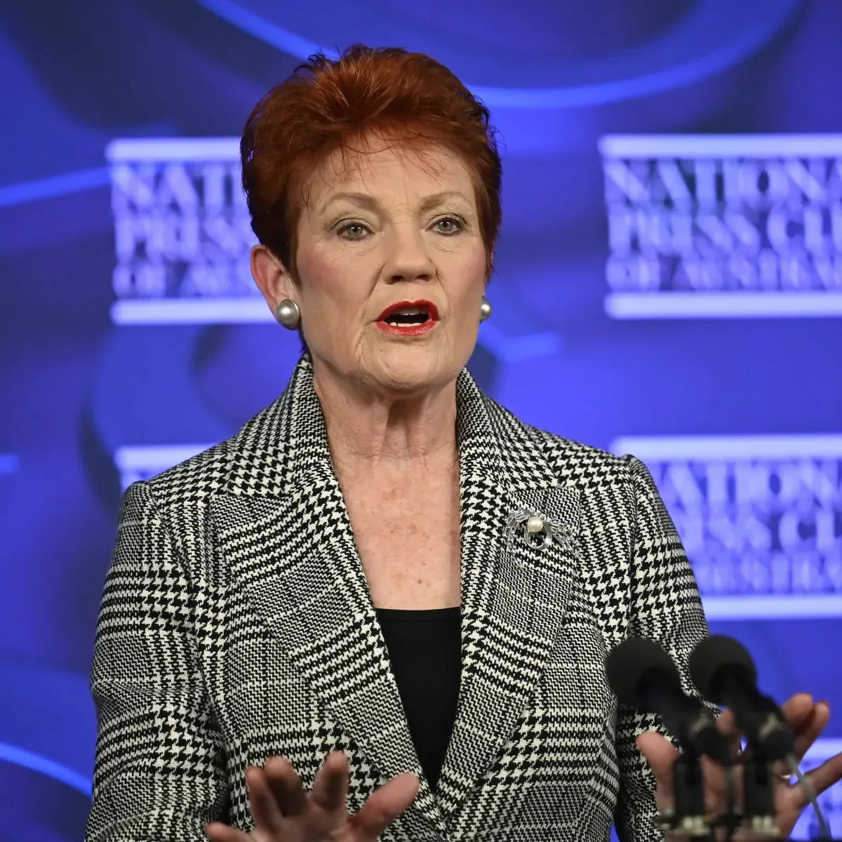 One Nation Sweeps NSW Town with 67% of Vote in Shocking Landslide