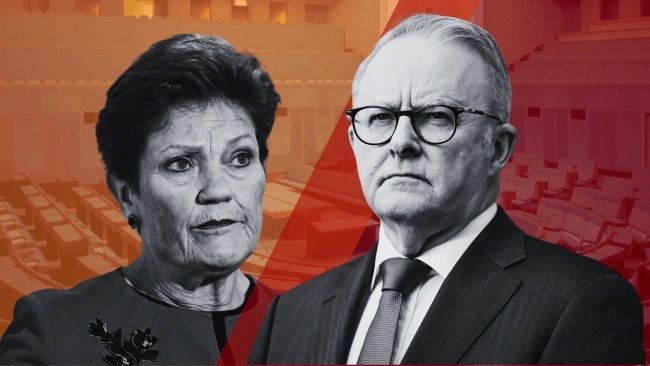 Hanson Sparks Fury with Childcare and Health Funding Bombshell - Second Image