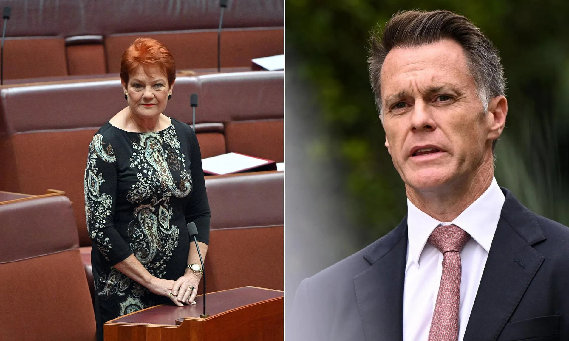 Minns Faces One Nation Fury in Western Sydney - Second Image