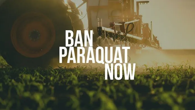 Toxic Paraquat Ban Sparks Fury Across Australia's Rural Heartland - Second Image