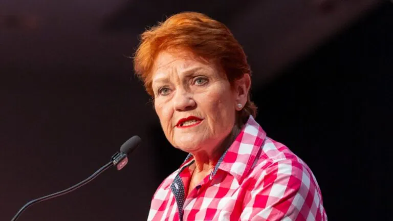 Hanson’s Shock Tax Plan Sparks Fury