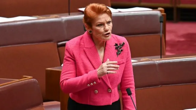 Hanson Backflips on ‘Key Issues’ in Desperate Voter Plea