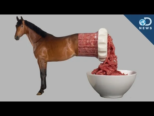  Horse Meat in Your Mince Australia's Food Industry Exposed - Second Image