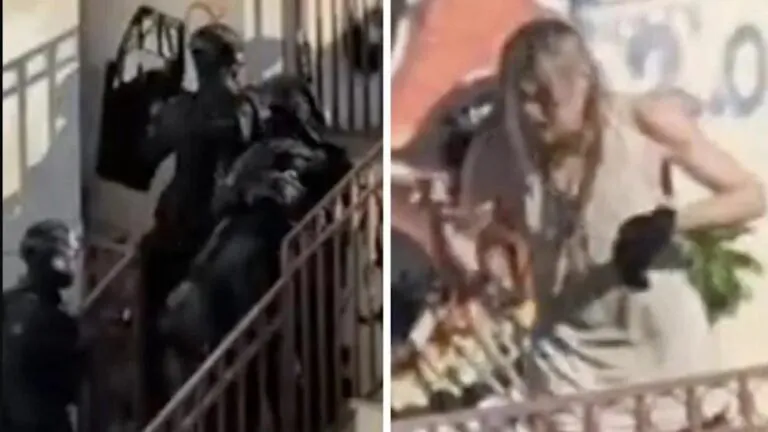 Gunman’s Desperate School Lockdown Bid Ends in Arrest