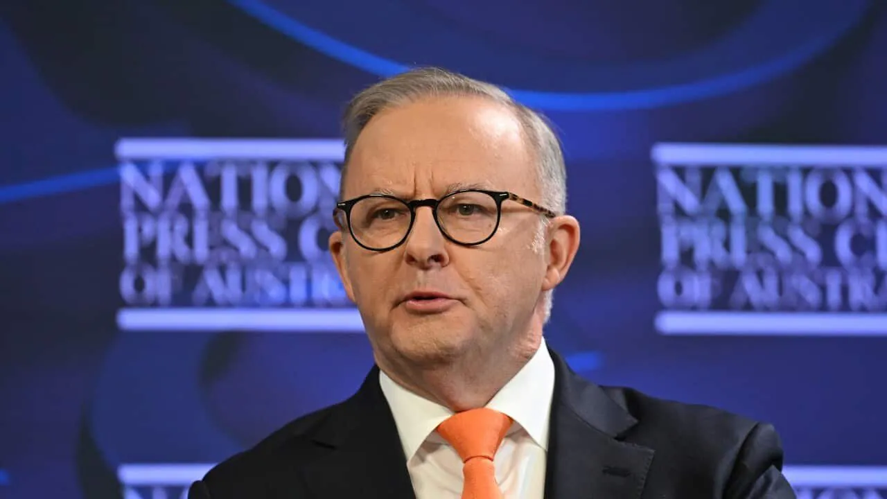 Albanese Sparks Fears of Weakened Copyright Laws Amid AI Push - Second Image