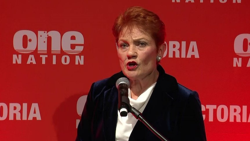 One Nation Sweeps Victoria as Frenzy Grips Major Parties