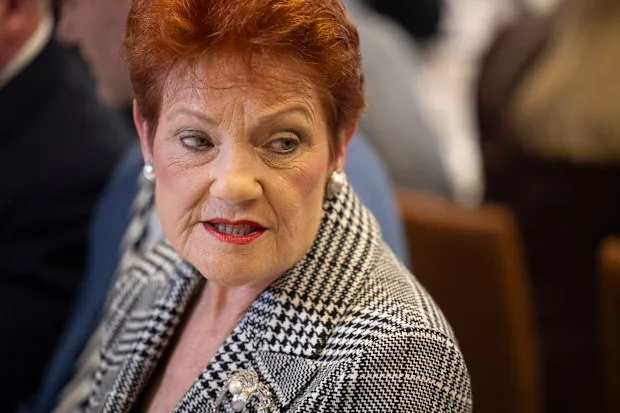 One Nation's Voter Support Plummets Amid Fury Over Hanson's Divisive Rhetoric - Second Image