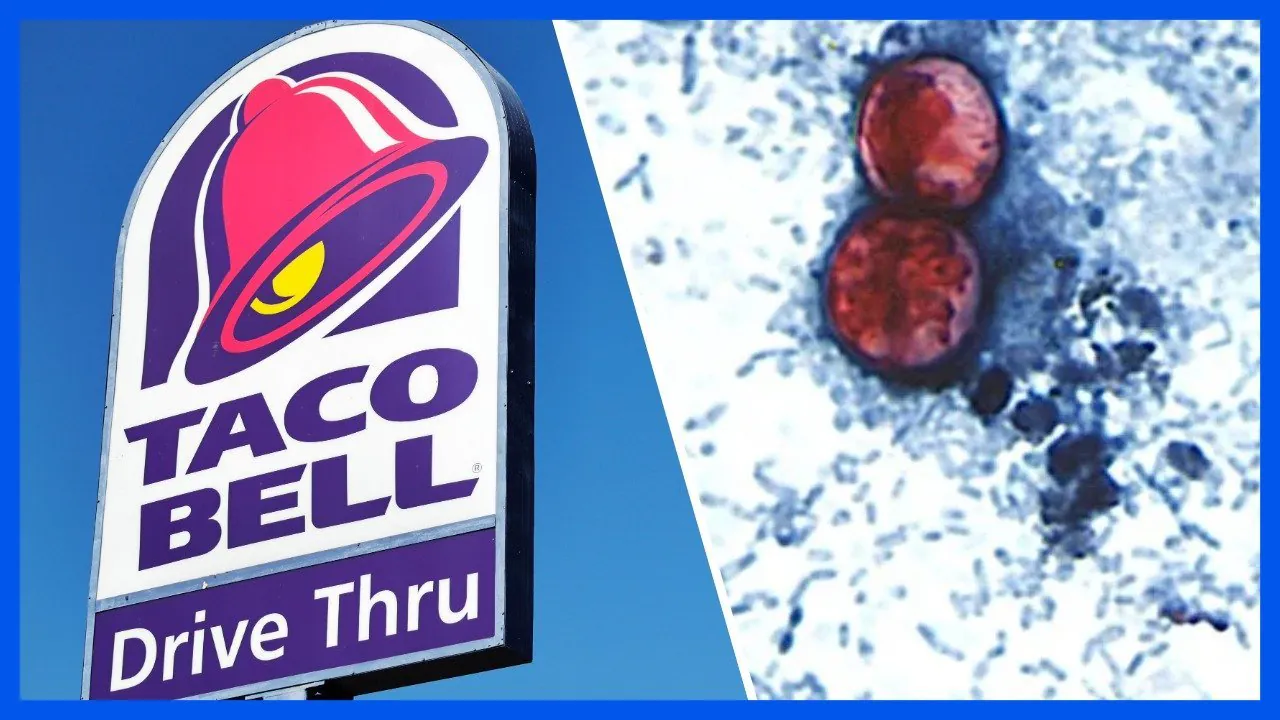 Taco Bell Lettuce Sparks Diarrhoea Epidemic