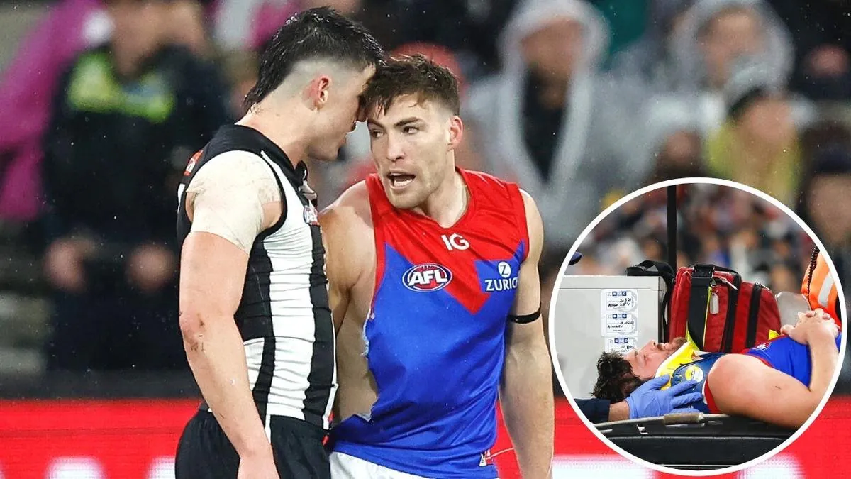 AFL Fines Stars $10,000 Over Umpire Scuffle
