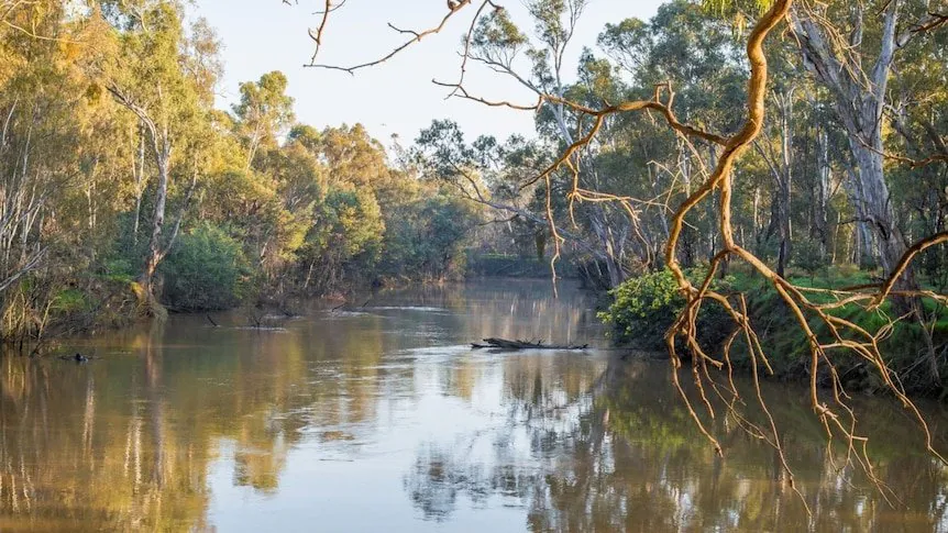  Desperate Search for Missing Fisherman Enters Second Day on Goulburn River - Second Image