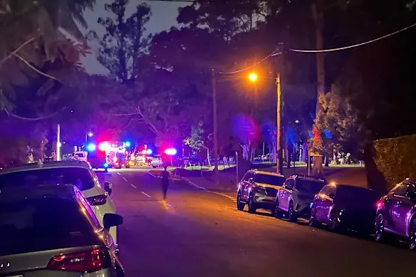 Tree Branch Fall Crushes Woman and Boy in Brisbane Park