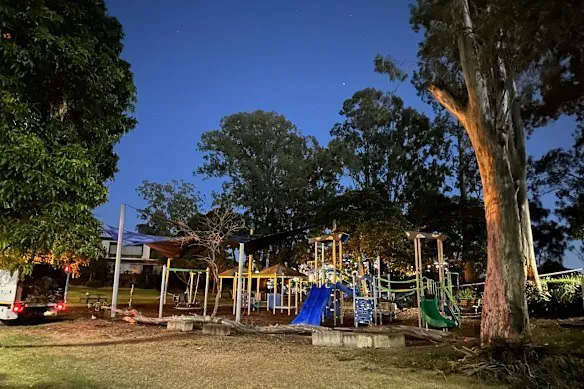 Tree Branch Crushes Woman and Boy in Brisbane Park Horror - Second Image