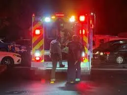 Stabbing Horror in Newcastle Man Dies in Unit Block Attack - Second Image