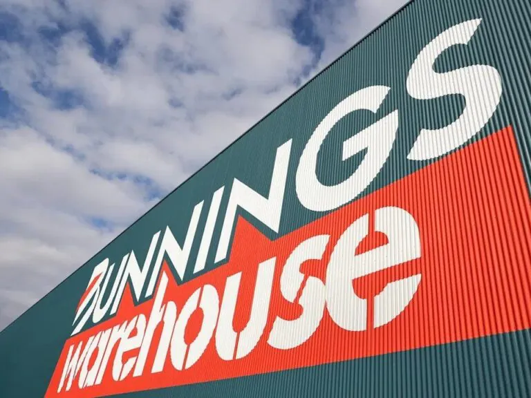 Girl, 6, Mauled by Dog at Bunnings, Dog Put Down