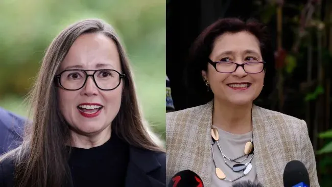 Labor Crisis Deepens Two Senior MPs Quit Amid Premier's Uphill Battle - Second Image
