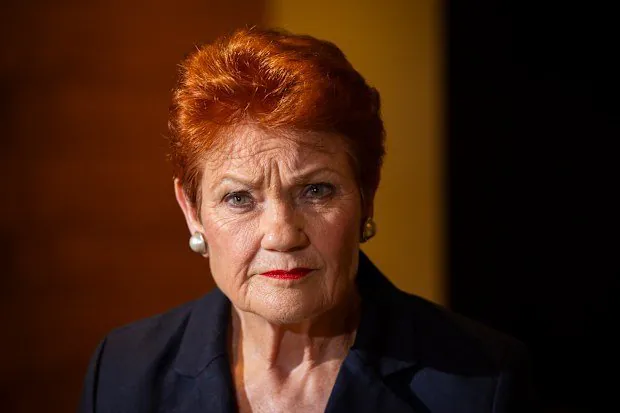  Domestic Violence Crisis Claims 38 Lives, Escape Bill Soars 71% - Second Image