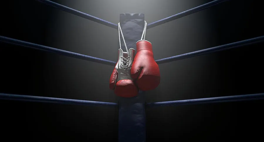 Aussie Boxing Champ Sues IBF, WBC, WBA and WBO