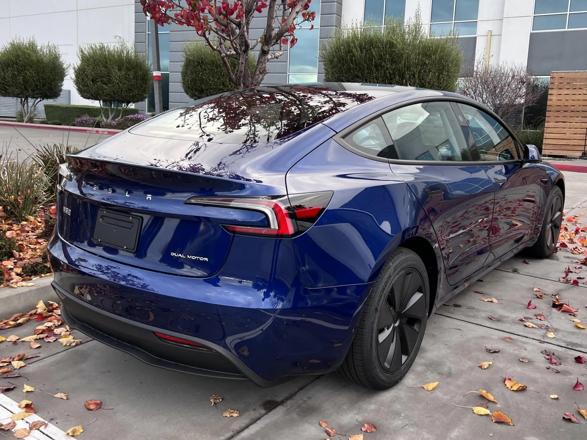 Tesla’s Profit Nightmare as EV Sales Soar in Australia