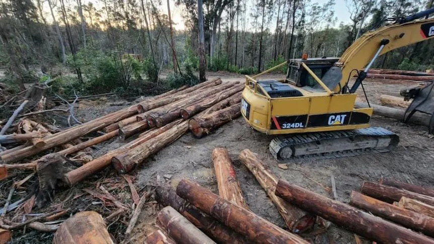 50 Jobs Axed in Sydney Amid Koala Park Plan