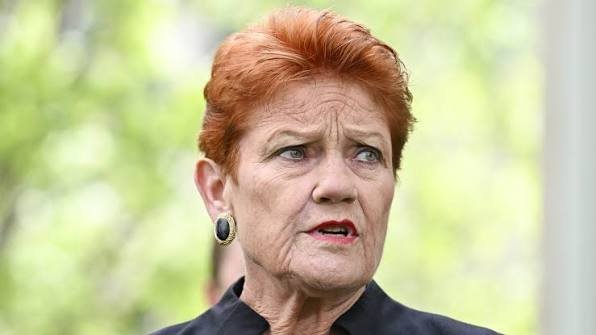 Pauline Hanson Unleashes Explosive Plan for Australia - Second Image