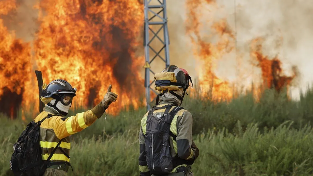 Spain Ablaze 12 Dead in Southern Inferno - Second Image