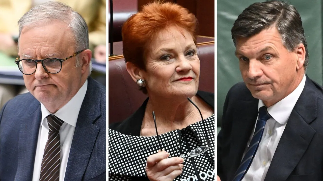 Papalia's Sudden Exit Sparks One Nation Frenzy in WA - Second Image