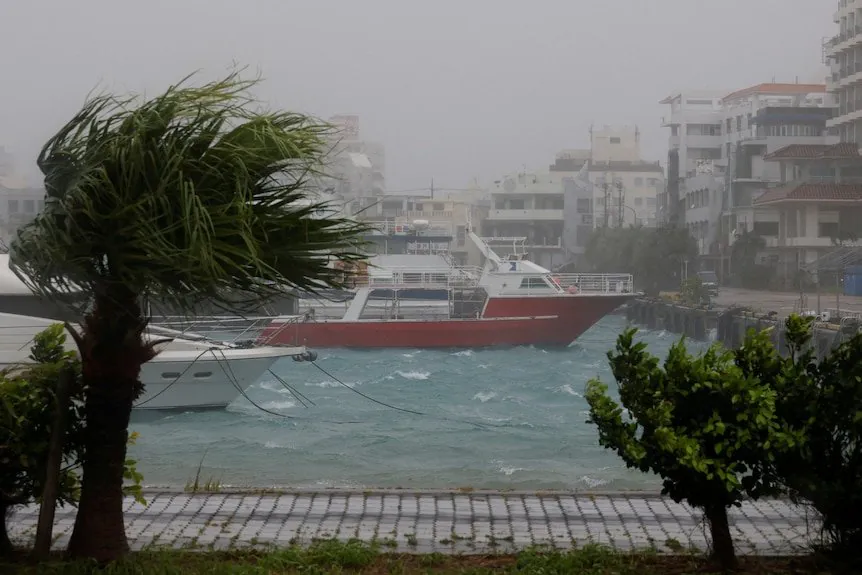 Typhoon Bavi Brings Destruction to Eastern China - Second Image