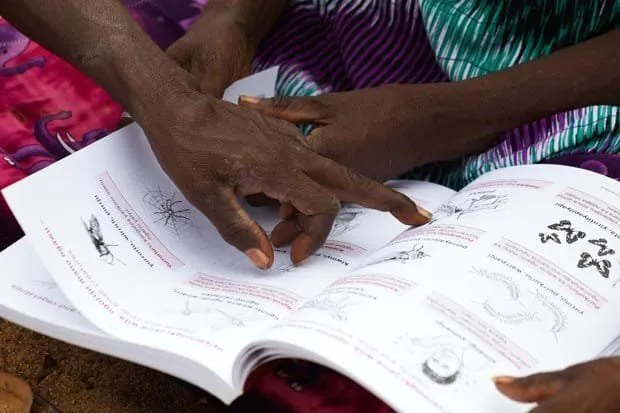 Australia's Indigenous Languages on Brink of Disaster - Second Image