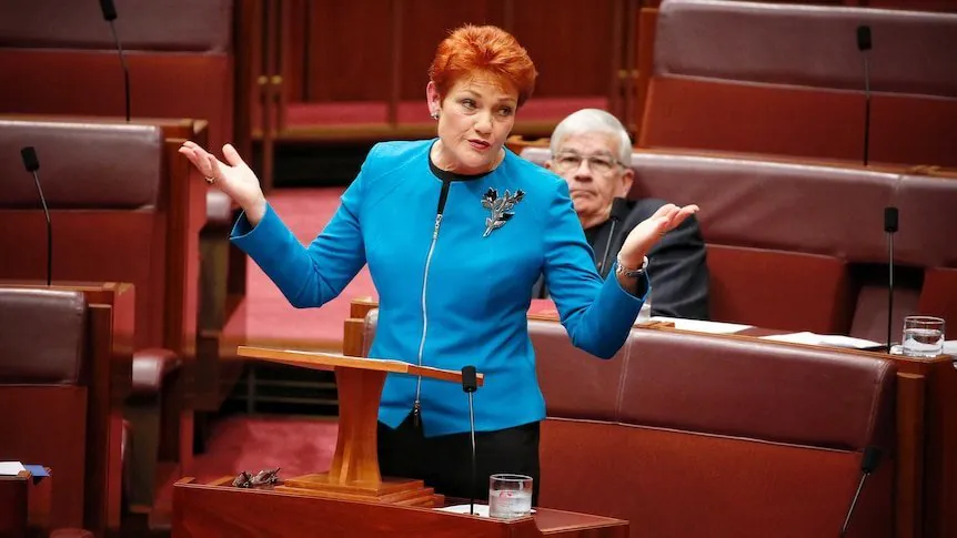 Hanson Sparks Fury Migrants 'Rip Off' NDIS in Australia - Second Image