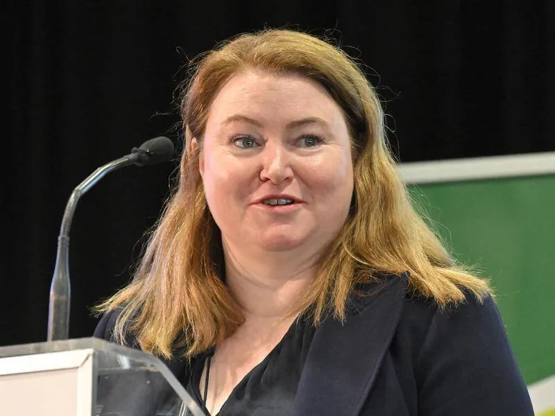 Minister Slammed with Vile Online Threats in Aussie Politics Scandal - Second Image