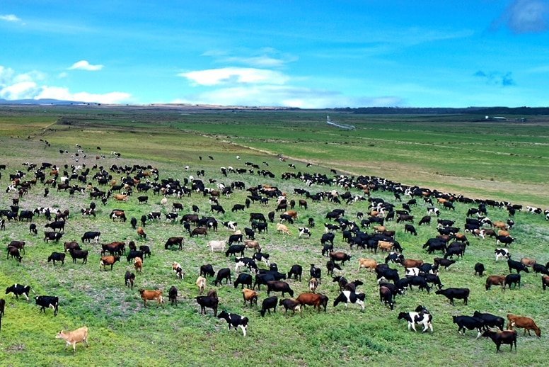 Government Betrays Aussie Farmers in $100M UK Land Grab
