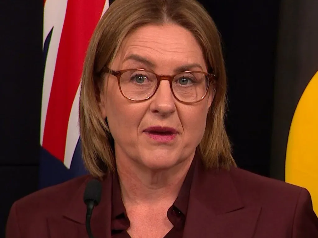  Labor Chaos Ben Carroll Takes Reins in Shock Leadership Spill - Second Image