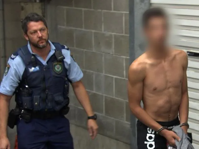 Teen Thugs Unleash Machete Terror on Melbourne
