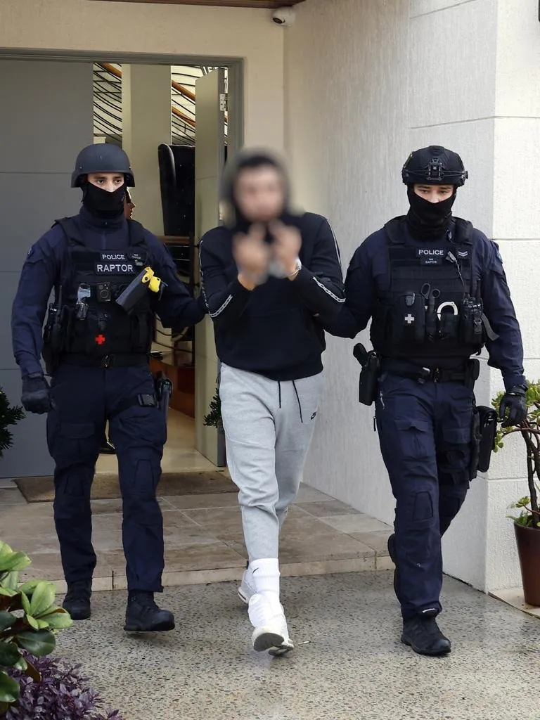 Sydney Gangland Murder Caught on Drone in Chilling Execution - Second Image