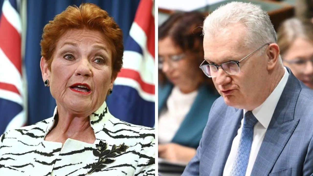 Burke Under Fire Over ISIS Returnees Amid National Security Fears - Second Image