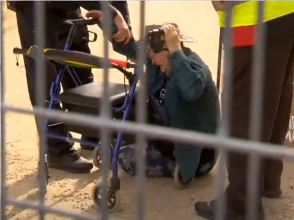 78-Year-Old Activist Defies Magistrate in Tree Felling Fury