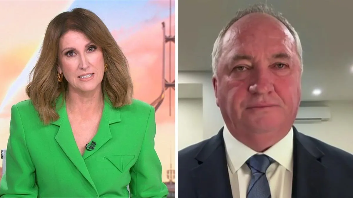 One Nation's Migration Mayhem Exposed in Leadership Split - Second Image