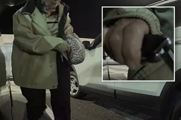 Elderly Woman’s Brutal Attack on Tesla Caught on Camera