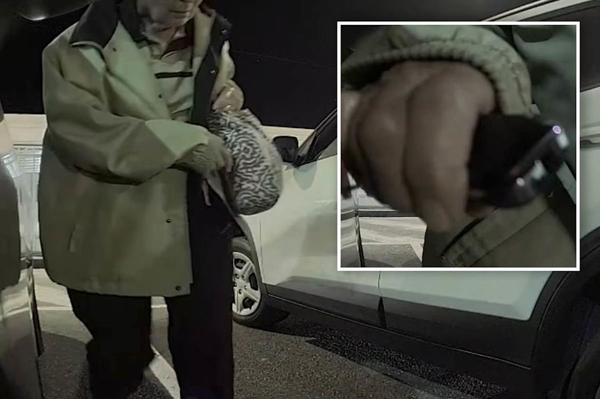 Elderly Woman’s Brutal Attack on Tesla Caught on Camera