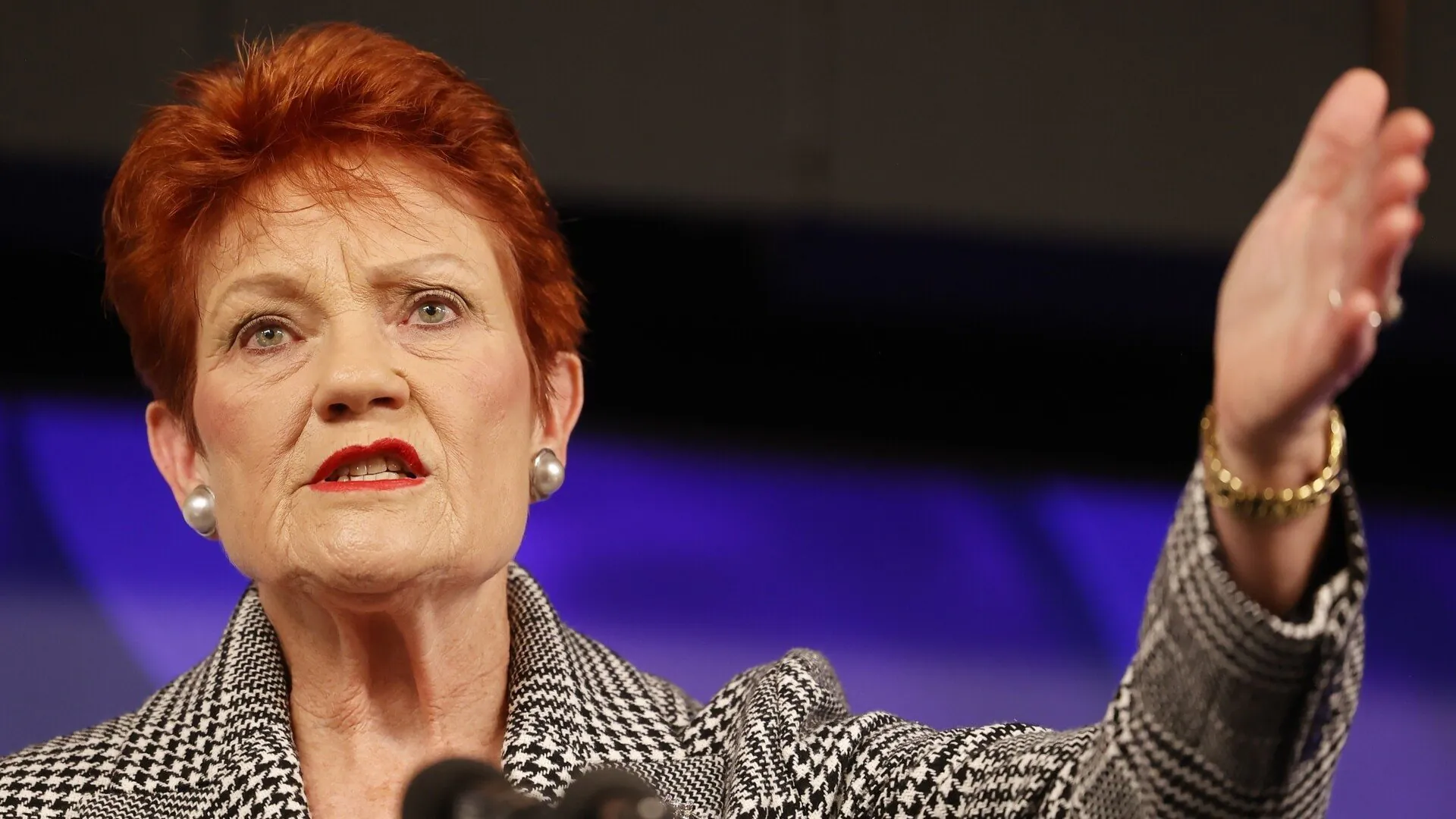 Hanson's ISIS Ban Faces Constitutional Backlash - Second Image