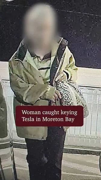 Elderly Woman's Brutal Attack on Tesla Caught on Camera - Second Image