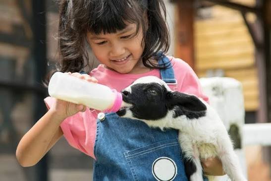 Brain Damage Scare Petting Zoo Horror Leaves Two Kids Fighting for Life - Second Image