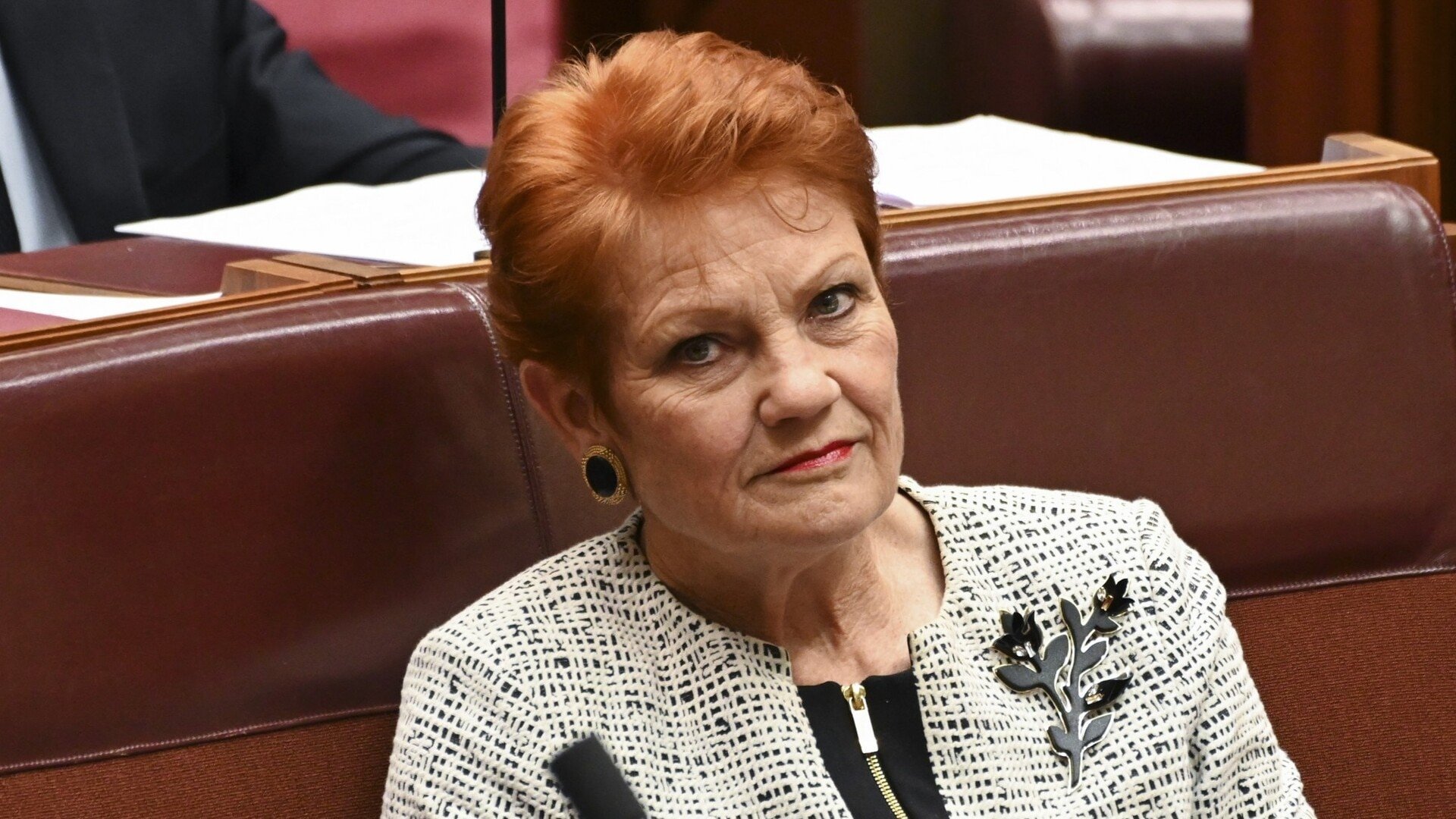 One Nation Surges to Top in Shock Poll, Coalition Alliance Looms - Second Image