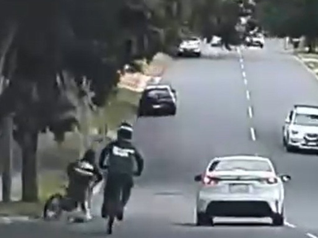 Koalas Slaughtered in Brisbane Hit-and-Run Horror