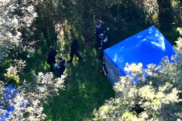 Body Found in Sydney Creek Sparks Foul Play Probe - Second Image