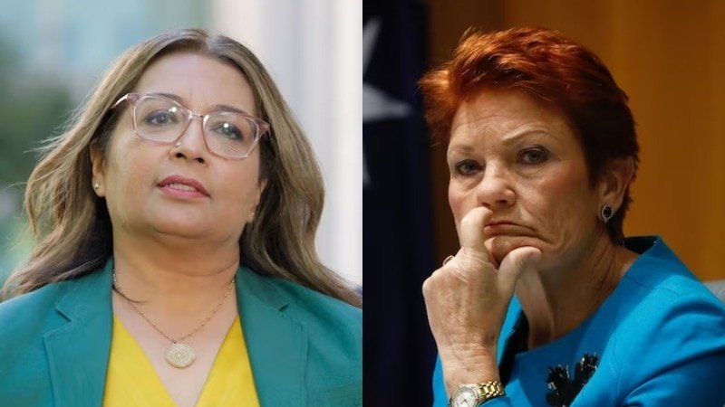 Hanson Takes Free Speech Fight to High Court - Second Image